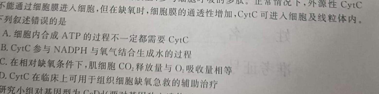 2023届高三5月联考(531C)数学考试