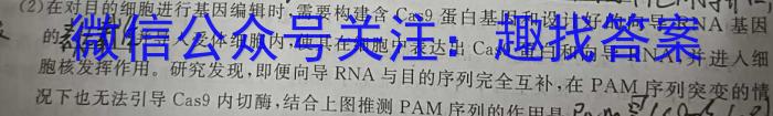 河北省2024-2025学年度第一学期素质调研三（九年级）数学