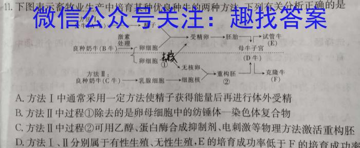 2023年葫芦岛市普通高中高三年级第二次模拟考试数学