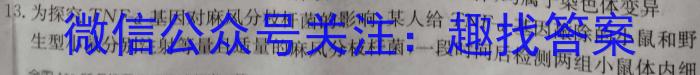 2024年安徽省九年级质量调研检测(三)3数学