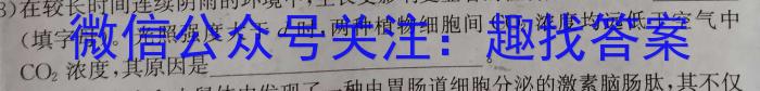 三重教育2024-2025学年高三年级8月联考数学