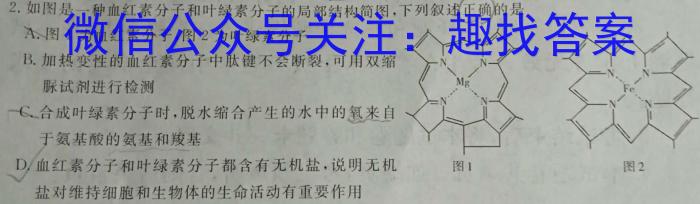 天一大联考·皖豫名校联盟2022-2023学年(下)高二年级阶段性测试(四)数学