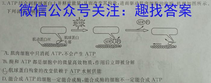 蒙城县2023-2024年度八年级第一学期义务教育教学质量检测(2024.1)数学