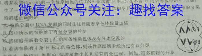 湖南省2023年上学期高二期末数学