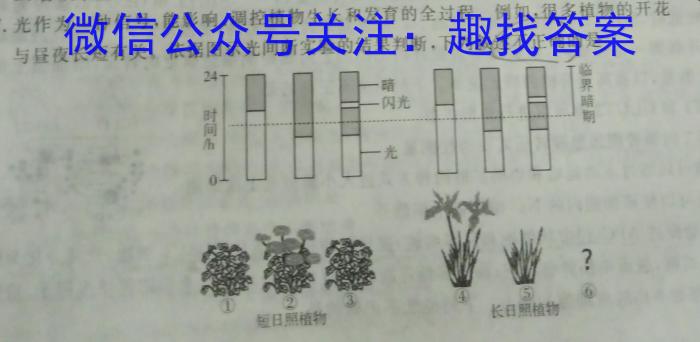 [国考1号2]第2套 2024届高三暑期补课检测(二)文理 数学