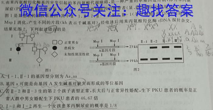 九师联盟2024届高三12月质量检测（L）数学