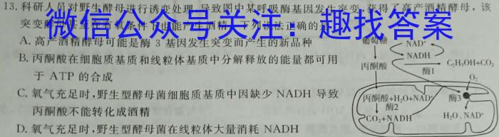 2023-2024衡水金卷先享题高三一轮复习周测卷/语文1文言文阅读1数学