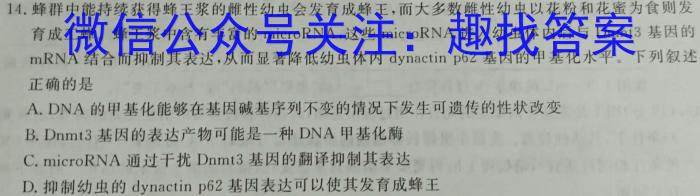 ［江西大联考］江西省2024届高三10月联考（正方形套黑菱形）数学