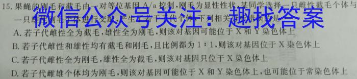 2024河南中考学业备考全真模拟试卷（M2）数学