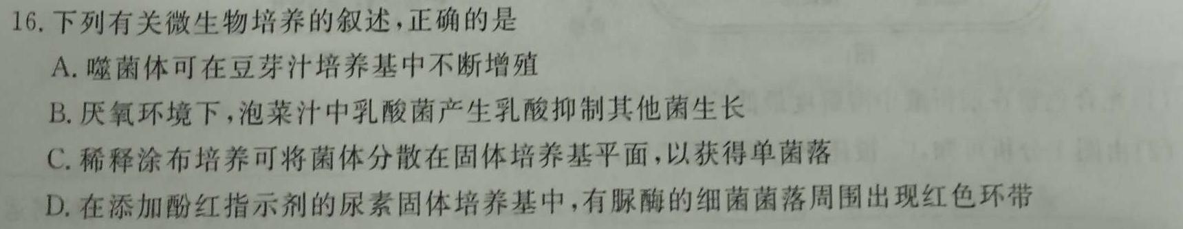 金科大联考2023~2024学年高二上学期开学质量检测数学考试