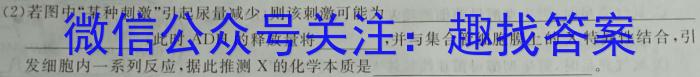 2024届山东中学联盟高三考前模拟冲刺大联考数学