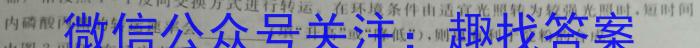 “十校联考”2022-2023学年(下)八年级期末检测文理 数学