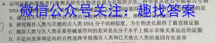 甘肃省武威市凉州区2024-2025学年高三第一次质量检测考试数学