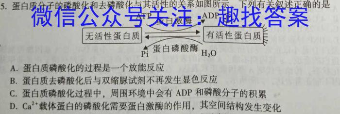 湛江市2022-2023学年度高二年级第二学期期末高中调研测试数学