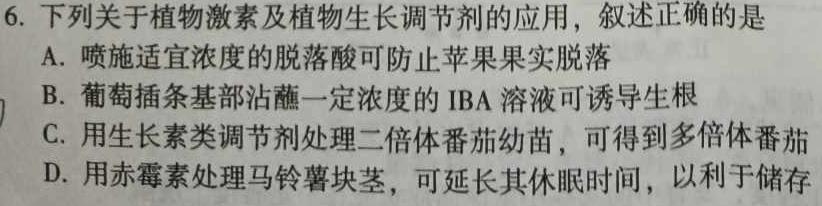 银川一中2023届高三年级第十次月考数学考试
