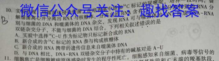 [南昌二模]2024年JJK第二次模拟测试数学