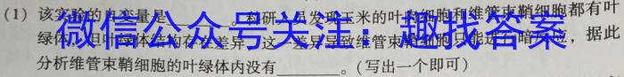 【济宁一模】济宁市2024年高考模拟考试数学