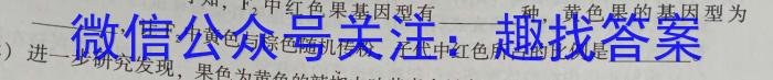 2024届山东省临沂市高三教学质量检测考试(11月)数学