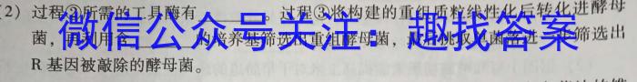 2024届高三一起考大联考(模拟三)数学