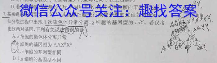 2024届河北省高三下学期第一次模拟考试24397C数学