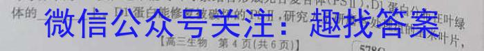 023届青海高三考试5月联考(标识※)数学"