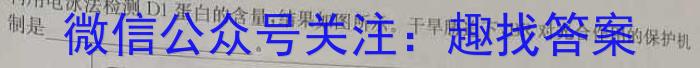 2024学年第一学期浙江省名校协作体适应性试题（高三开学考）数学