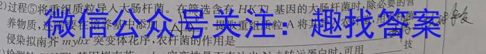 山西省九年级2023-2024学年新课标闯关卷（六）SHX数学