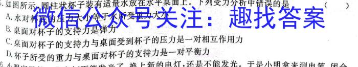 安徽省淮南市2022-2023学年度第二学期八年级期末质量检测.物理