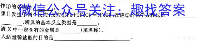 文博志鸿 2023年河南省普通高中招生考试试卷(夺冠二)化学