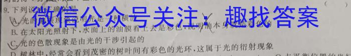 安徽省凤台片区2023年九年级第三次中考模拟调研l物理