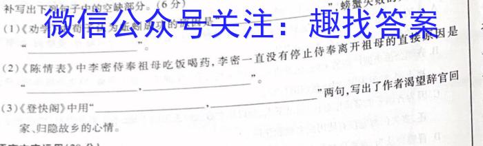 河北省2023届中考考前抢分卷(CCZX A HEB)语文