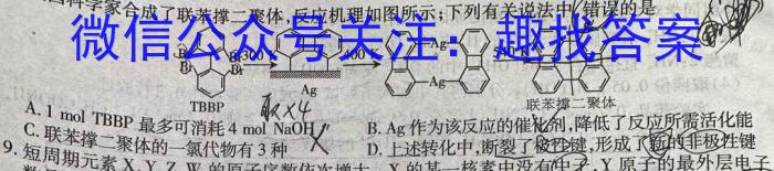海南省2023届高三年级下学期第三次模拟考试化学
