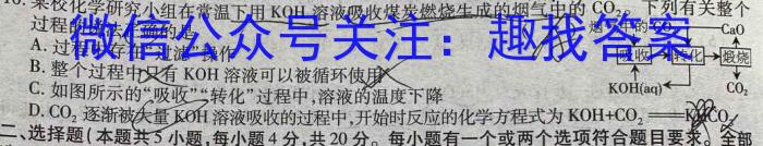 2023年陕西省初中学业水平考试全真模拟押题卷(二)化学