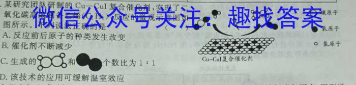 2023年河北省初中毕业生升学文化课考试(省级)大联考化学