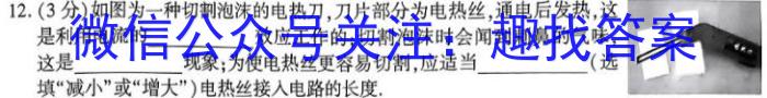 江西省2023年初中学业水平考试适应性试卷（四）物理`