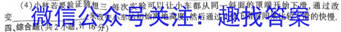 ［益卷］2023年陕西省初中学业水平考试冲刺卷（C版）物理`