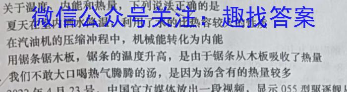 2023年陕西省初中学业水平考试全真模拟押题卷(一)物理.