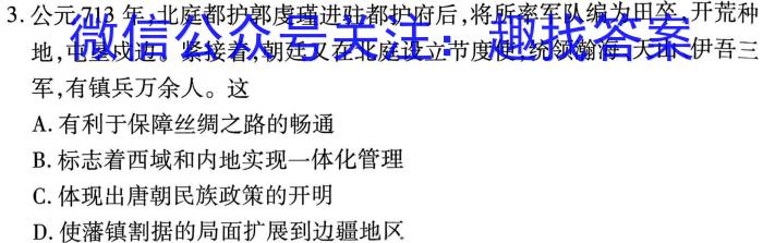 中考模拟压轴系列 2023年河北省中考适应性模拟检测(夺冠一)历史