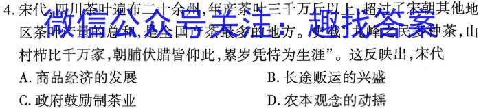 2023届陕西省第十次模拟考试历史