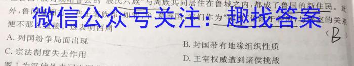 2023年陕西省初中学业水平考试模拟试卷W5历史