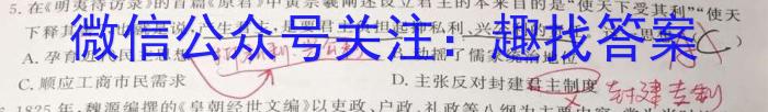 安徽省2023届九年级下学期教学评价三历史