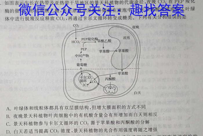 广东省湛江市2023-2024学年度高二第一学期期末调研考试数学