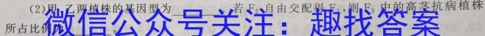 甘肃省2023-2024高二期末练习卷(23-562B)数学