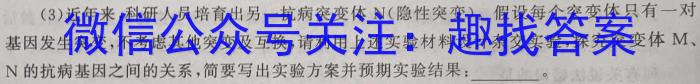 2024年湖南省普通高中学业水平合格性考试仿真试卷(专家版四)数学