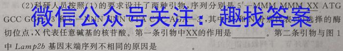 陕西省2023-2024学年度七年级第二学期阶段性学习效果评估数学