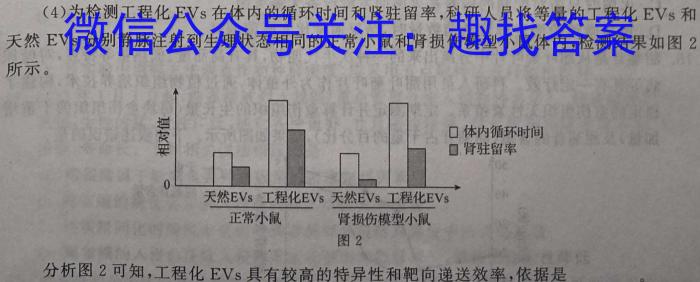 2024年四川省高二5月联考(24-533B)数学