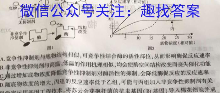 2024年陇南市中考模拟联考卷（一）数学