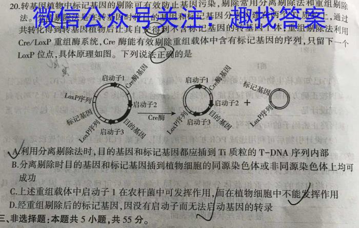 天舟高考衡中同卷案调研卷2024答案(湖南专版)三数学