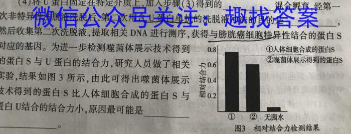 邯郸市2023届高三年级保温试题（5月）数学