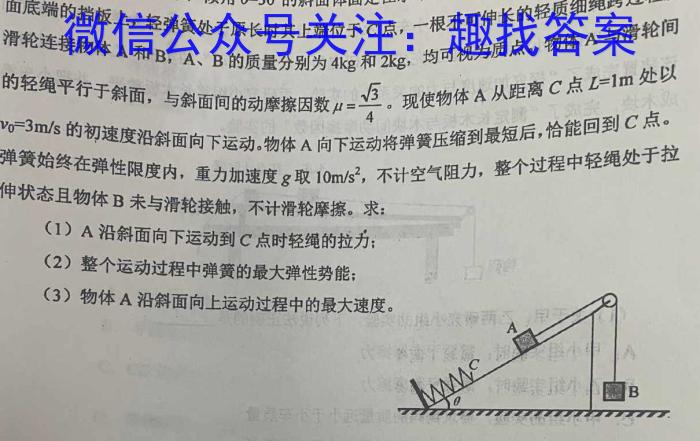 2023年全国普通高等学校统一招生考试 考前检测试卷(新高考)(一)1物理`